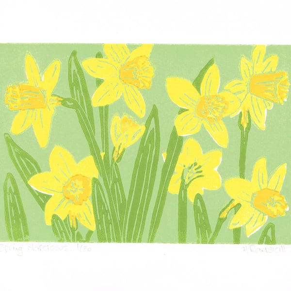 Spring Daffodils - Narcissus - Original limited edition linocut print.