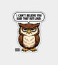 Funny Snarky Vinyl Sticker For Adults - Grumpy Owl