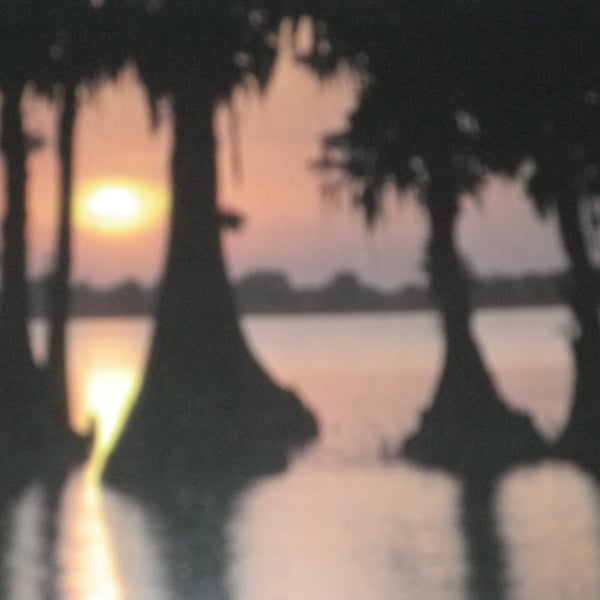 The Everglades Sunset,, A4 unframed print  2951free shipping free hook & easel