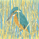 Kingfisher - limited edition linocut print