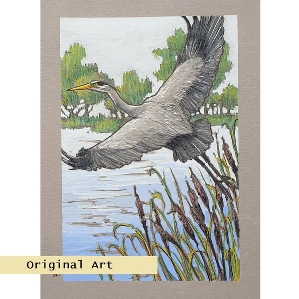 Grey Heron Taking Off.  Original bird artwork, bird drawing