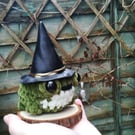 Crochet Witch Toad Companion 