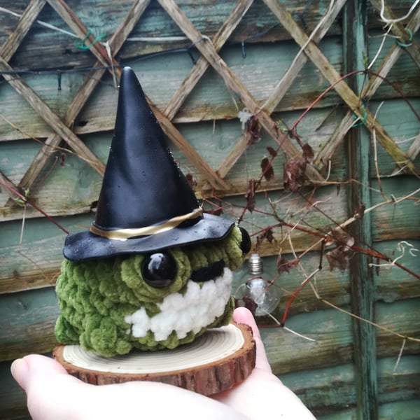 Crochet Witch Toad Companion 