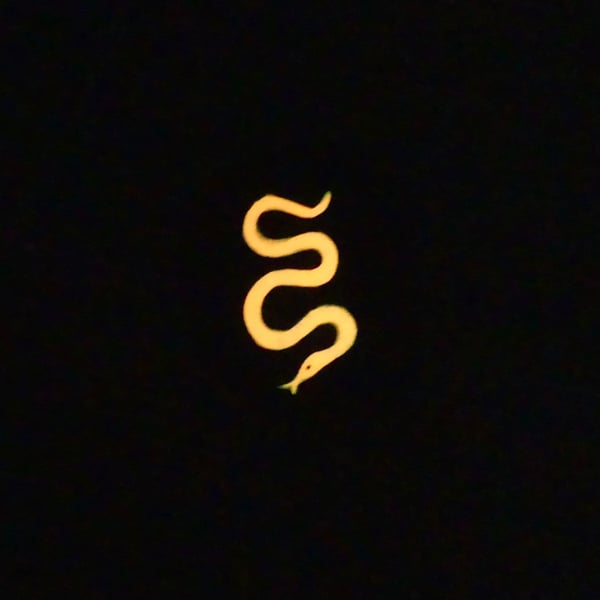 Glow in the Dark Snake Stone - MADE TO ORDER