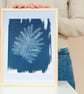 Botanical Art, Mimosa print Cyanotype, art for home, art as a gift. - Image 9