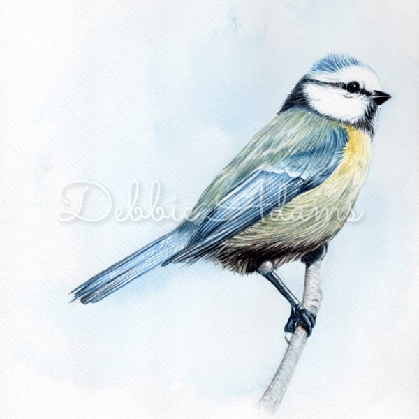 Limited Edition print of a  watercolour of an english garden Blue tit