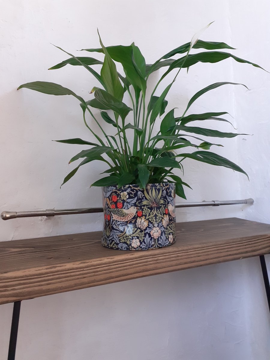 Indoor William Morris fabric plant pot