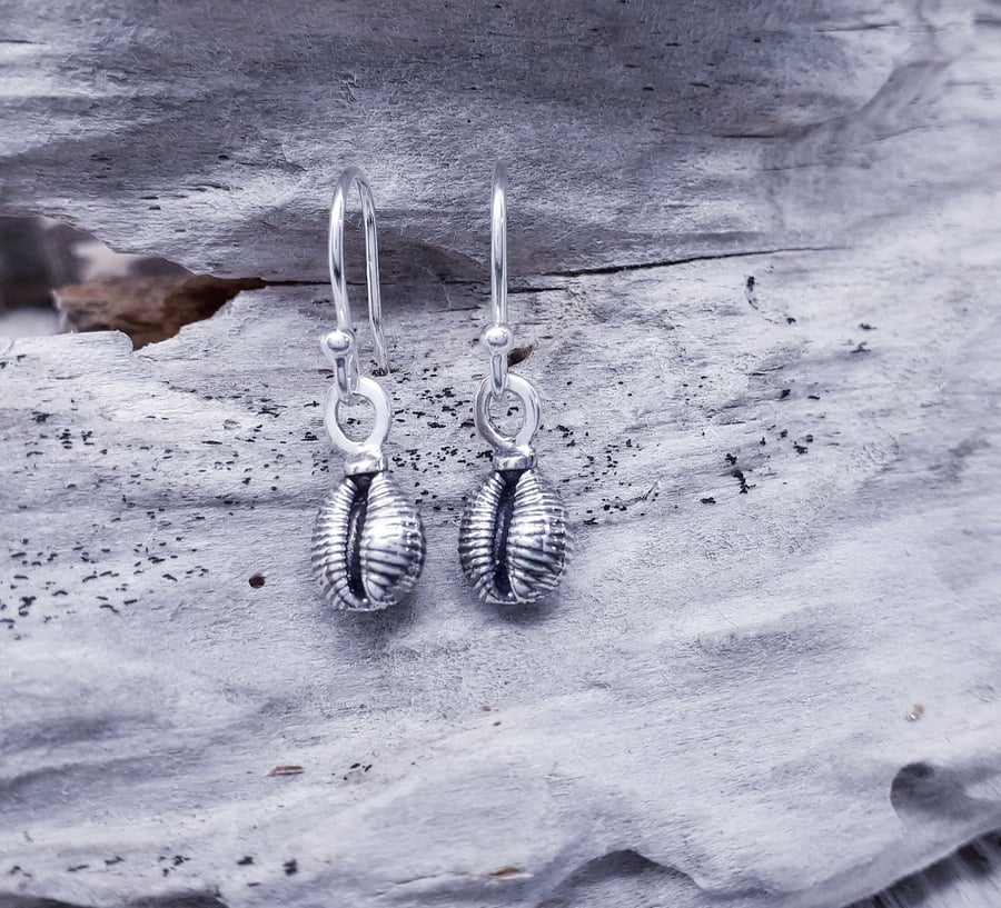 Cowrie Shell Grotie Buckie Drop Earrings