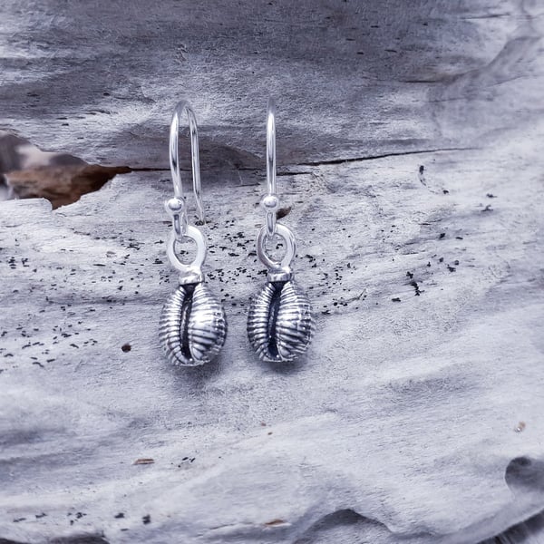 Cowrie Shell Grotie Buckie Drop Earrings