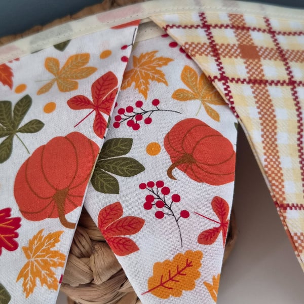 Autumn Bunting 