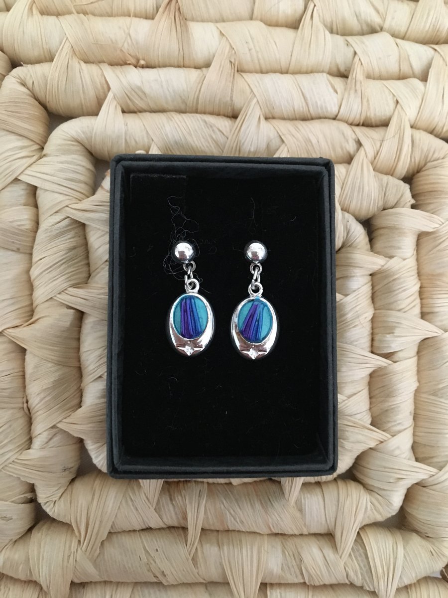 Oval Peacock Coloured Earrings 