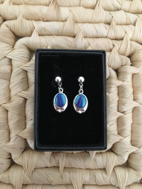 Oval Peacock Coloured Earrings 