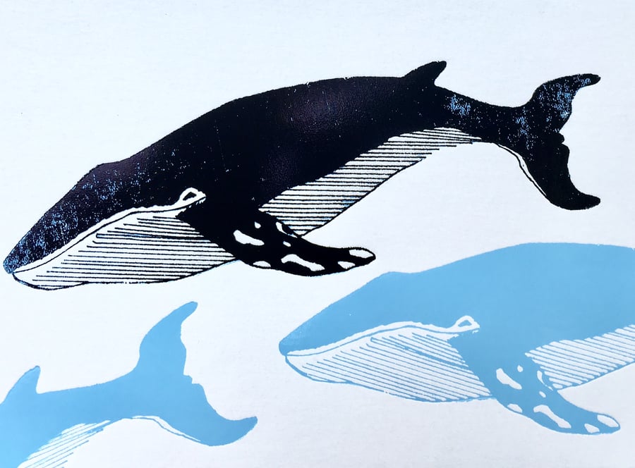 Humpback Whale - Greetings Card