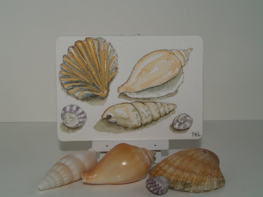 ACEO Original Seashells watercolour