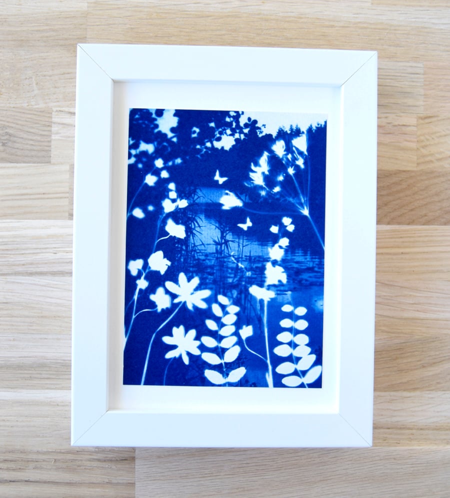 Framed 'Reverie' Original Nature inspired Blue and White Cyanotype