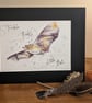 Twinkle Twinkle Little Bat, a signed print of a Horseshoe Bat - Image 5