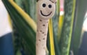Worm & Slug Plant Buddies