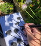 Botanical art, Garden Chives, shadow painting, original artwork, signed - Image 3