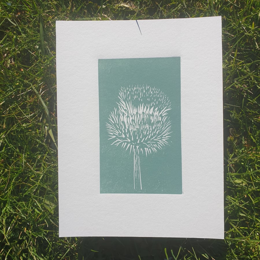 Thistle, original linocut print