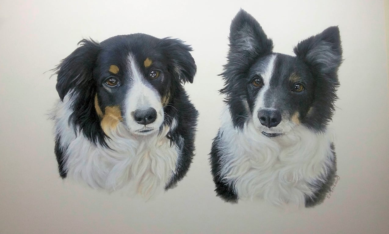 Pet Portraits by Sharon