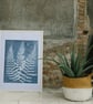 Fern Art, Botanical Art, Art for gardeners, Cyanotype Original Art. - Image 5
