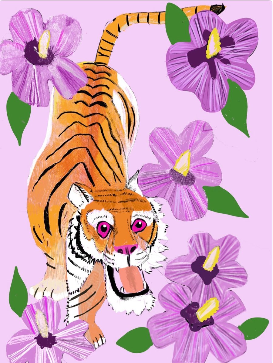 Hibiscus tiger