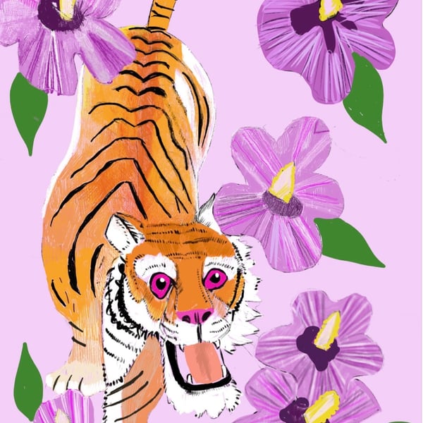 Hibiscus tiger