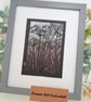 Cow Parsley Floral Silhouettes - Original drawing, wall art - Image 8