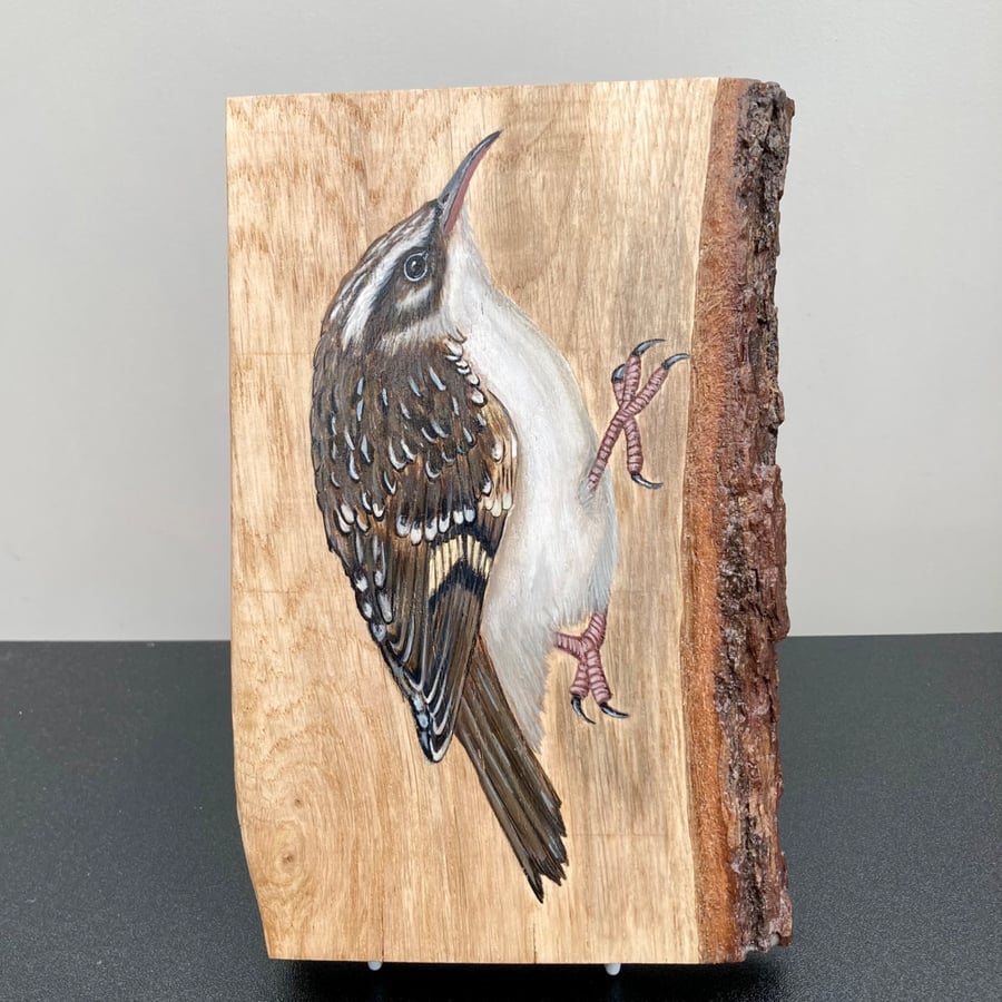 Tree creeper original painting on Oak wood