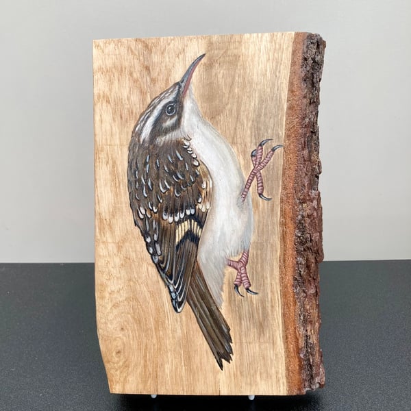 Tree creeper original painting on Oak wood