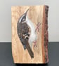 Tree creeper original painting on Oak wood