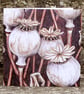 Greetings Card - Blank - Poppy Seed Heads - Image 2
