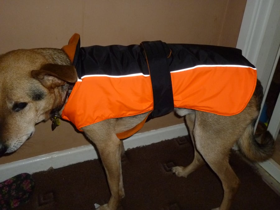 Hand made Chest protector dog coat -x small hi viz orange & black