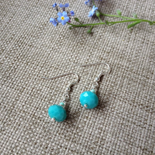 Aqua-Blue Earrings 