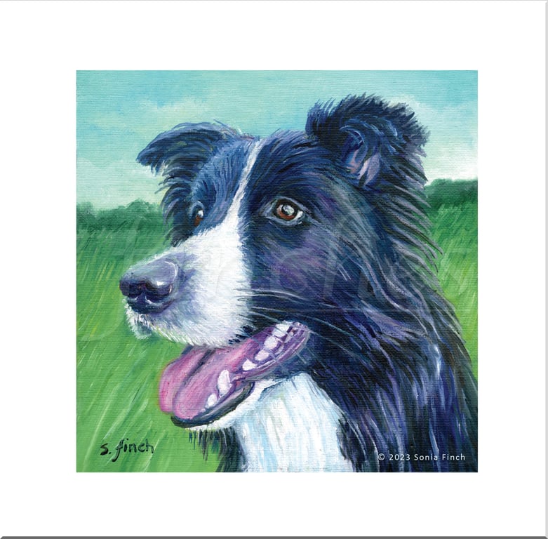 Spirit of Dog (Border Collie) - Blank Card with Nature Spirit Totem message