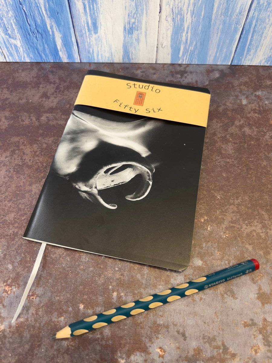 Notebook, Marine themed, A5 (ish), made from up-cycled and recycled materials.