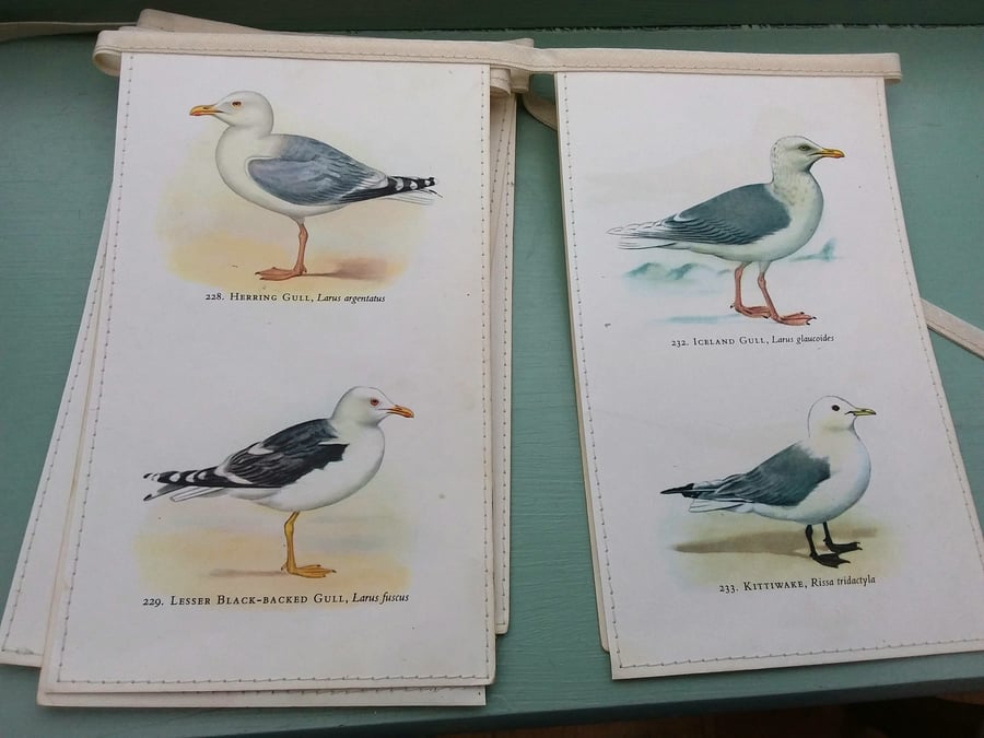 Book bunting - birds (seagulls)