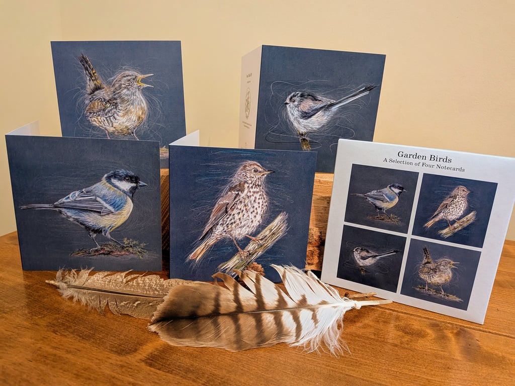 Garden Bird Notecards 2