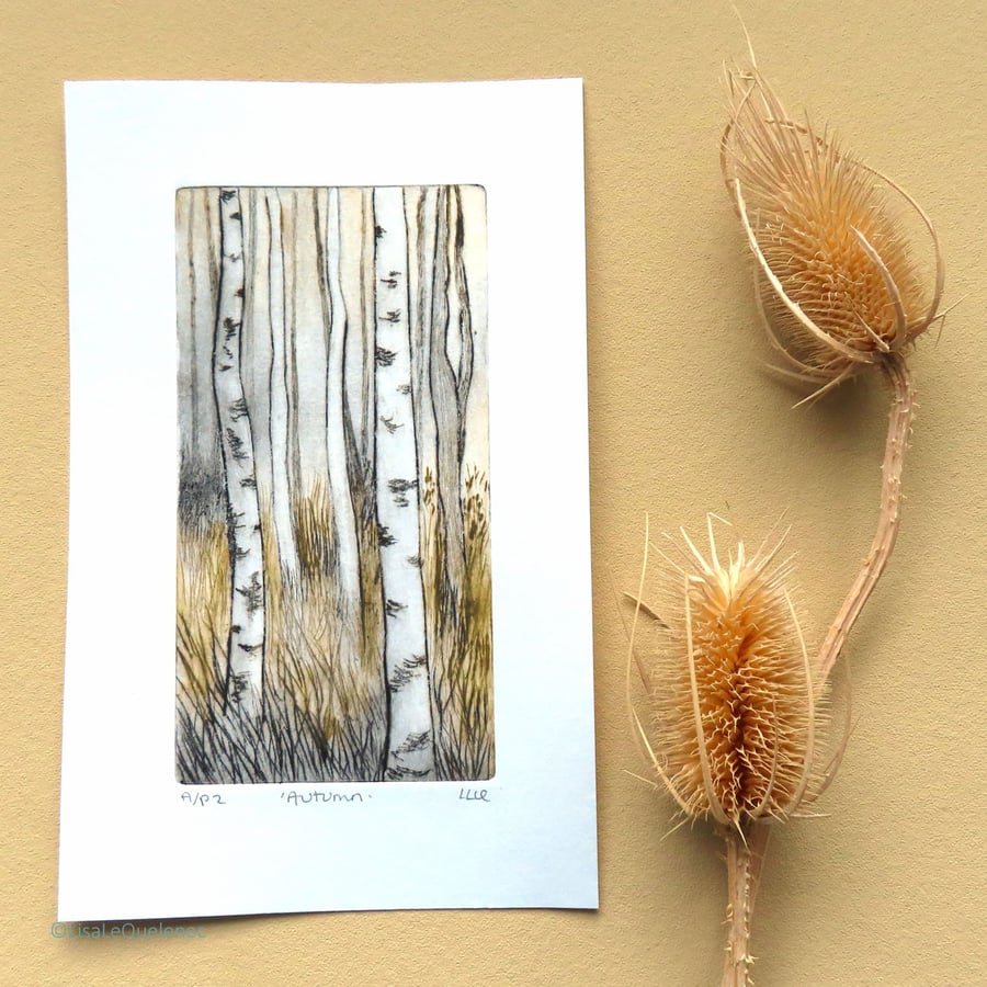Autumn birch trees original drypoint etching print unframed forest mini art