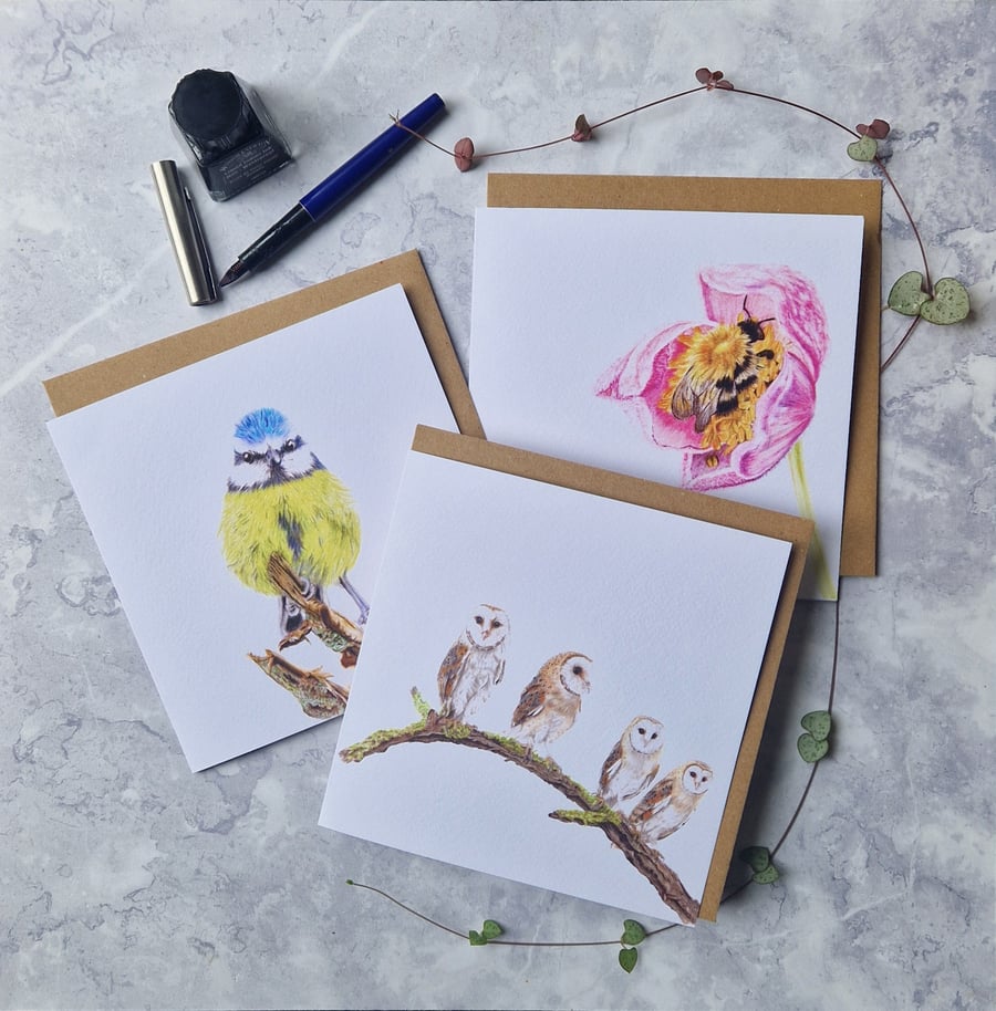Pack of 3 cards: Barn owls, bumblebee & blue tit.