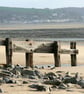 Crow Point 2 - Image 1