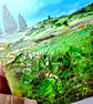 Original Treescape Artwork - Scotland  - Image 3