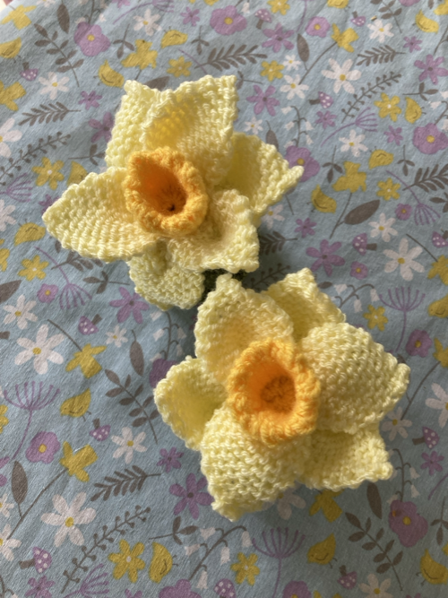 DAFFODIL CHOCOLATE ORANGE COVER 