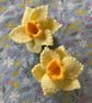 DAFFODIL CHOCOLATE ORANGE COVER 