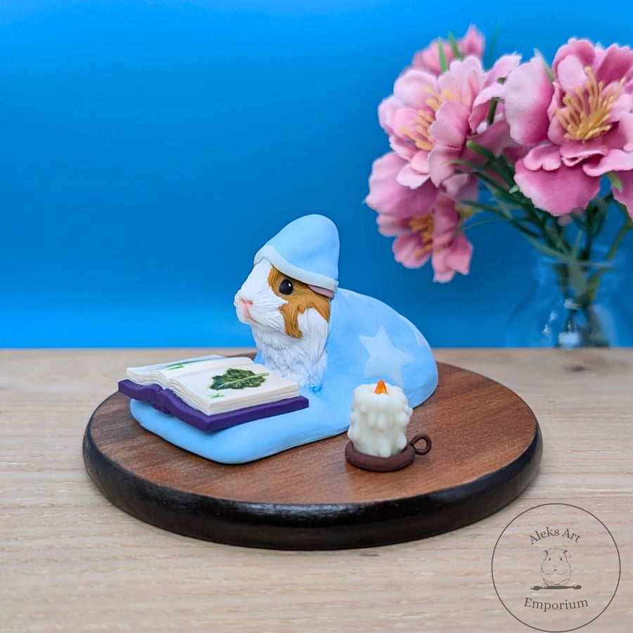 Bedtime Story Reading Guinea Pig, Gift for Guinea Pig and Book Lovers