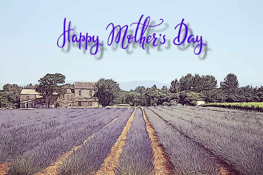 Happy Mother's Day Lavender Fields Card A5