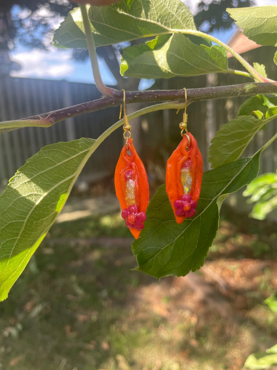 Glistening Sunset Yoni Earrings (set 4)