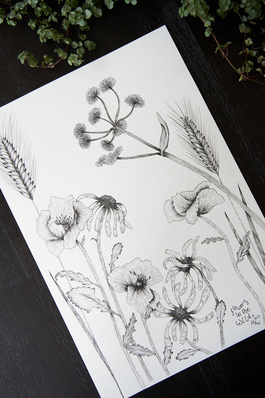 Title: "flowers in the wild" - botanical drawing, hand-drawn original size A4