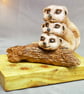 3 Meerkats hugging at a log - Image 4