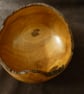 EUCALYPTUS ROCKING BOWL - Image 5